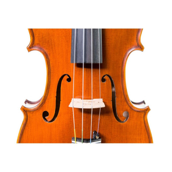 Violín Gliga Cristian 4/4 4/4 - Especialistas en Violines, Violas, Violonchelos y accesorios