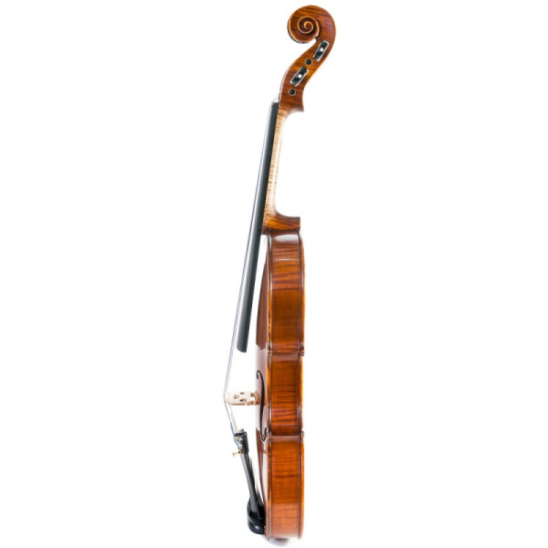 Violín Gliga Gama II 1/2 - Especialistas en Violines, Violas, Violonchelos y accesorios