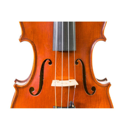 Violín Gliga Gama II 3/4 - Especialistas en Violines, Violas, Violonchelos y accesorios