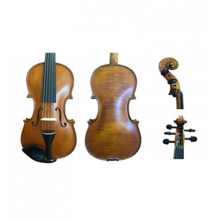 Violín Gliga Gama II 5 cuerdas 4/4 - Especialistas en Violines, Violas, Violonchelos y accesorios