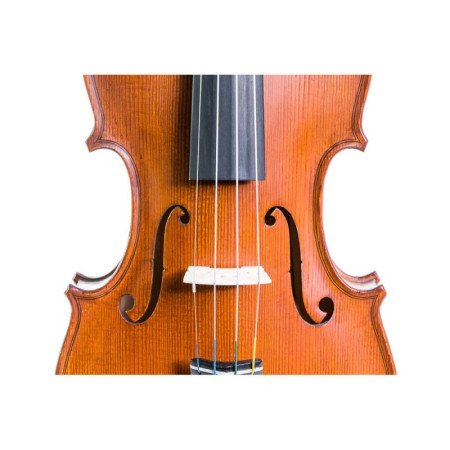 Violín Gliga Gems II 4/4 - Especialistas en Violines, Violas, Violonchelos y accesorios