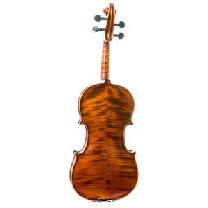 Violín Gliga Vasile 4/4 4/4 - Especialistas en Violines, Violas, Violonchelos y accesorios 2