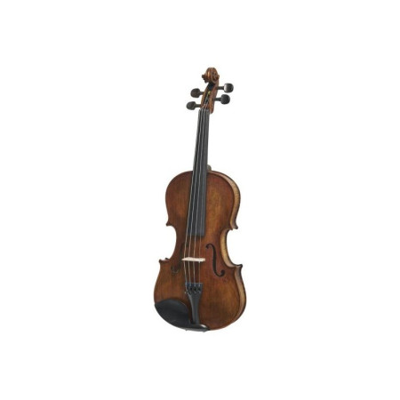 Violín Stentor Verona Set 4/4 - Especialistas en Violines, Violas, Violonchelos y accesorios