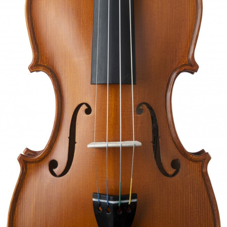 Buy Gliga Gems I left-handed 4/4 violin at the best price | València Violins