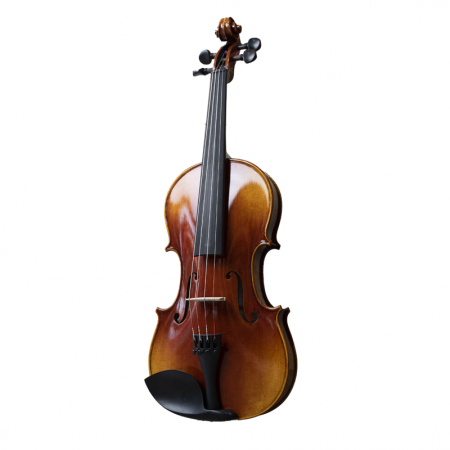 Violín Valencia Violins mod. V-10 4/4 - Especialistas en Violines, Violas, Violonchelos y accesorios